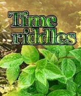 Time Riddles: The Mansion