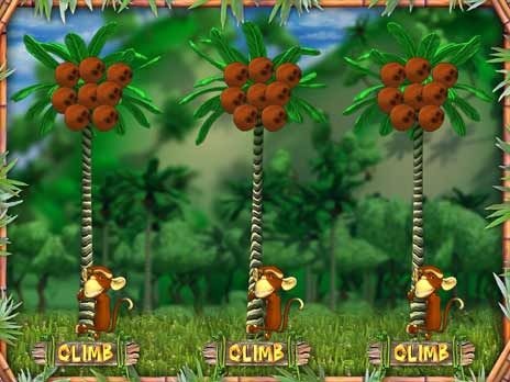 Jogos de casino gratis caca niqueis Gypsy Rose Jogos de casino gratis caca niqueis Gypsy Rose