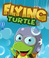 FLYING TURTLE